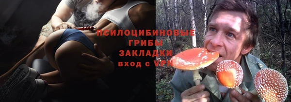 стафф Осинники