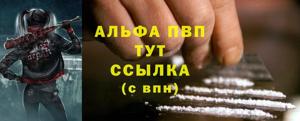 стафф Осинники