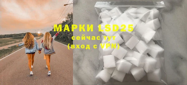 стафф Осинники