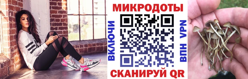 купить закладку  Урень  даркнет телеграм  Псилоцибиновые грибы MAGIC MUSHROOMS 