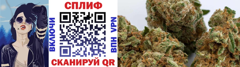 где купить наркоту Урень Бошки Шишки гибрид